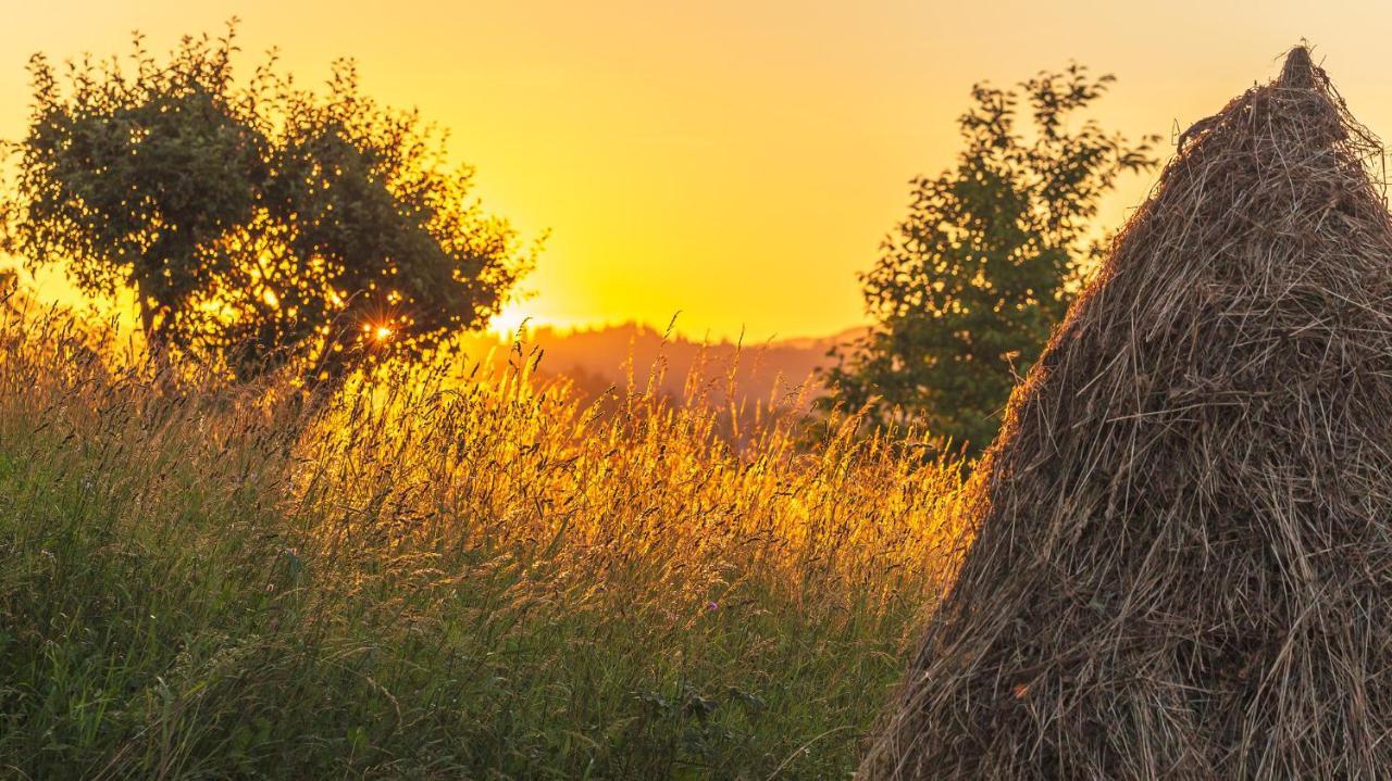 Casa De Vacanta Armi Molidu Dış mekan fotoğraf