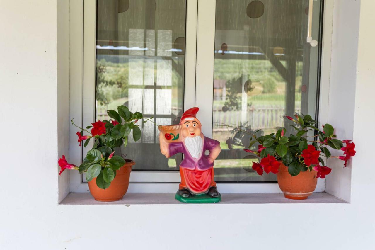 Casa De Vacanta Armi Molidu Dış mekan fotoğraf